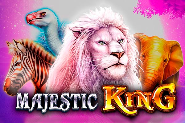 31bet.com
