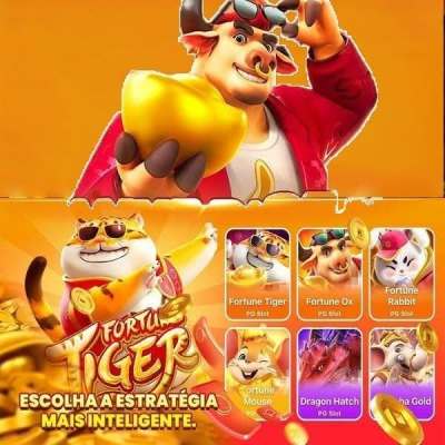 Bet jet x entrar