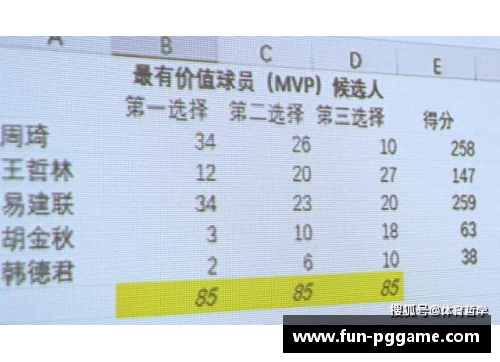 PG模拟器球员选票mvp：深入解析背后的投票过程 - 副本