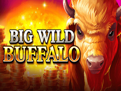 Betfair aposta